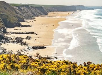 online_eye_test (11)