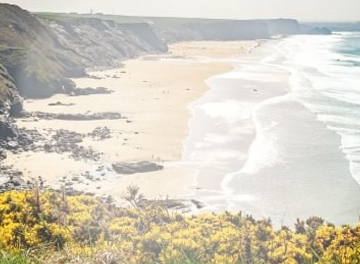 online_eye_test (12)