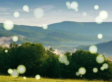 online_eye_test (14)